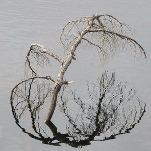 Meet your Posher, Marie-louise